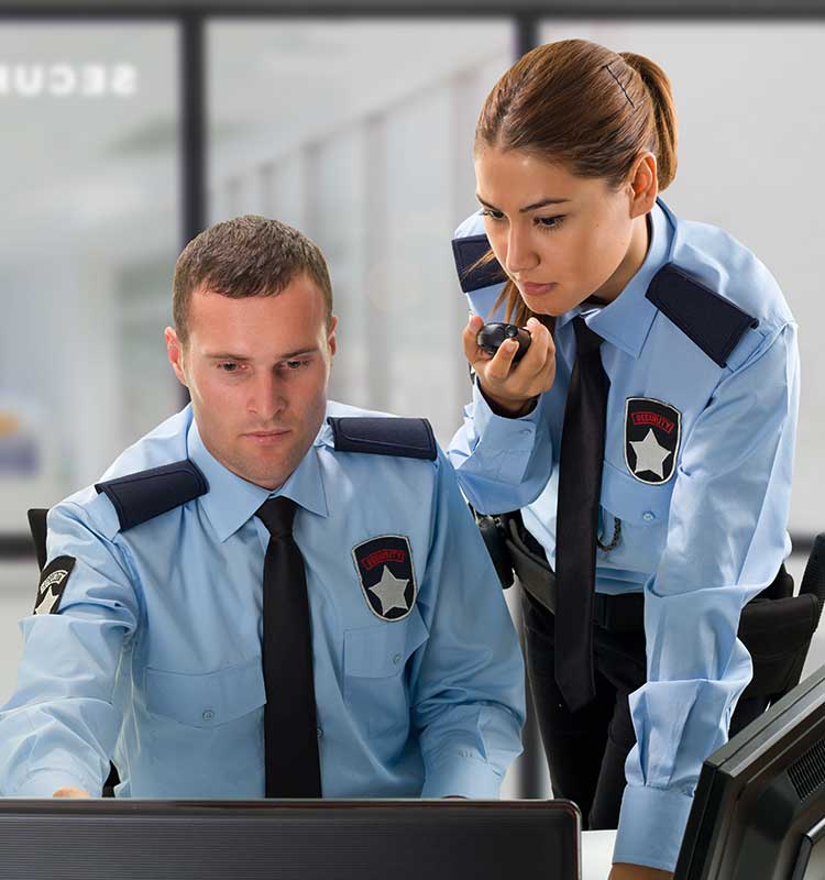 脆弱な＆ワンダートラッキング